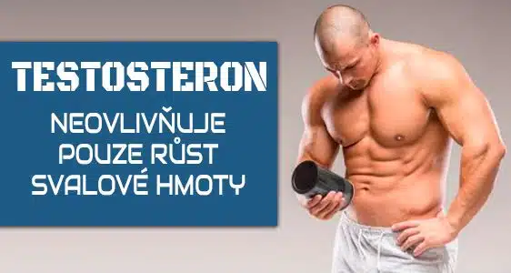 Testosteron neovlivňuje pouze růst svalové hmoty