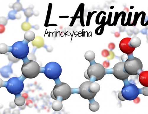 Aminokyselina L-arginin: zlepšení erekce a sexuálního výkonu